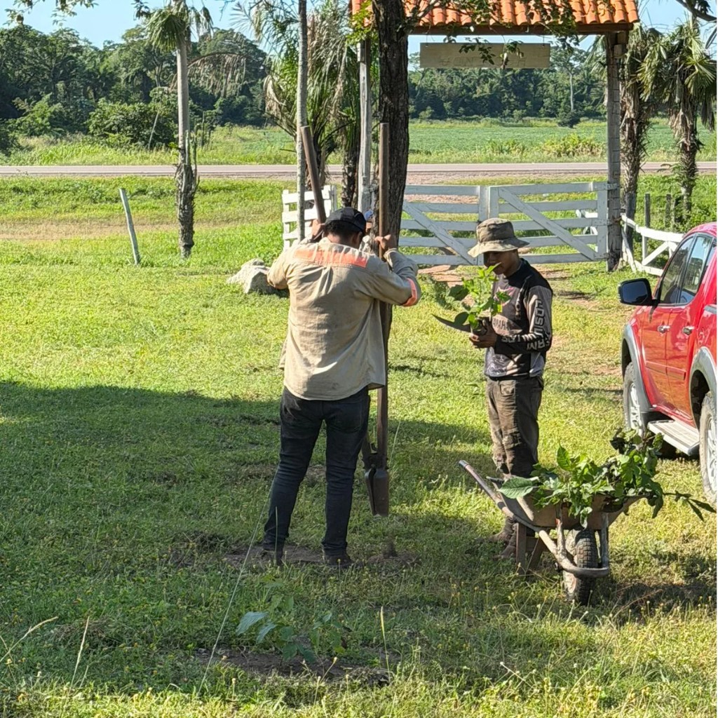 Ketrawe team members planting and preparing agroforestry seedlings